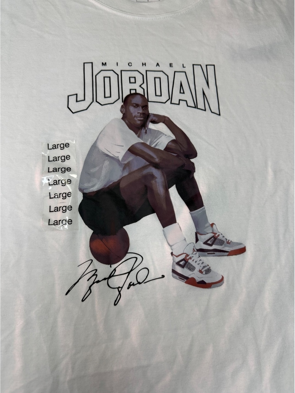 NWT Jordan Brand Michael Jordan Graphic Oversized Fit T-Shirt